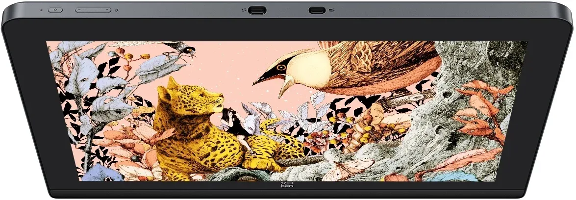 Графический планшет-монитор XPPen Artist Pro 16 USB Type-C/USB/HDMI черный - фото 6