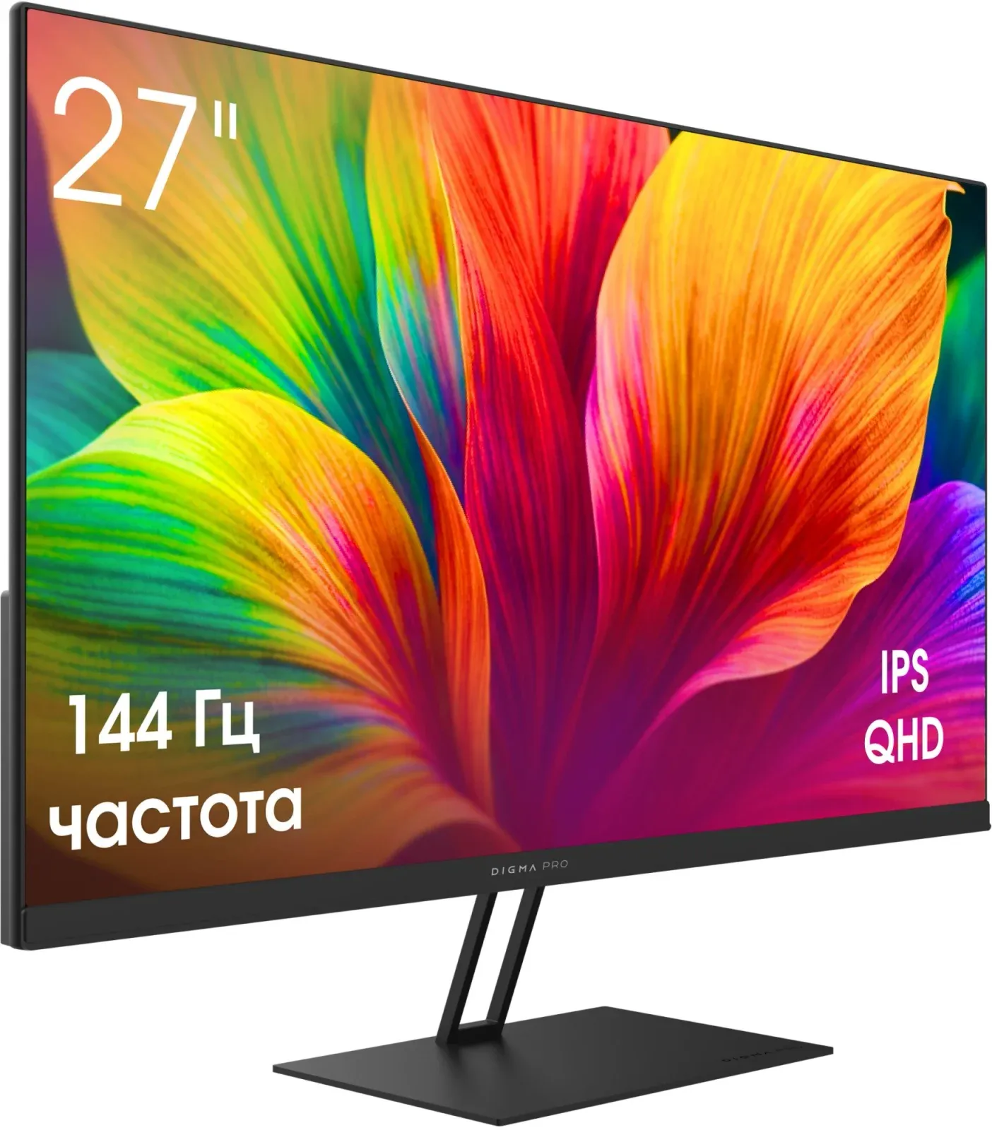 Мониторы ЖК DIGMA PRO Motion L - фото 2
