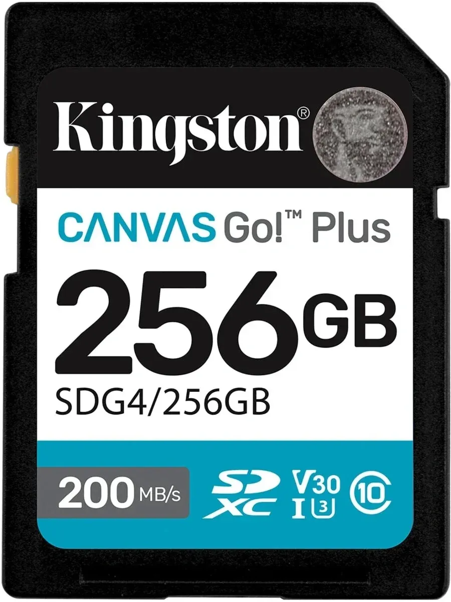 Flash Card KINGSTON SDG4/256GB - фото 1