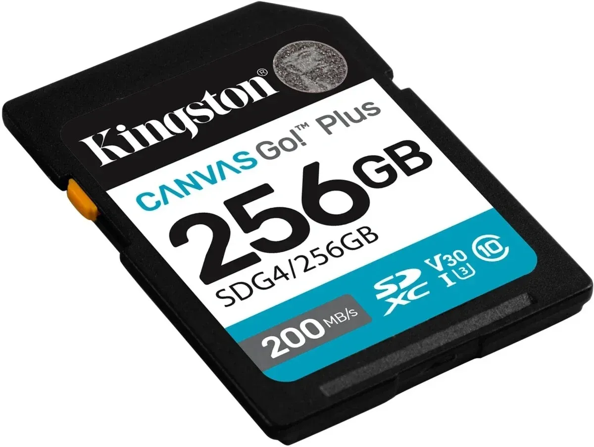 Флеш карта SDXC 256GB Kingston SDG4/256GB Canvas Go! Plus V30 w/o adapter - фото 2