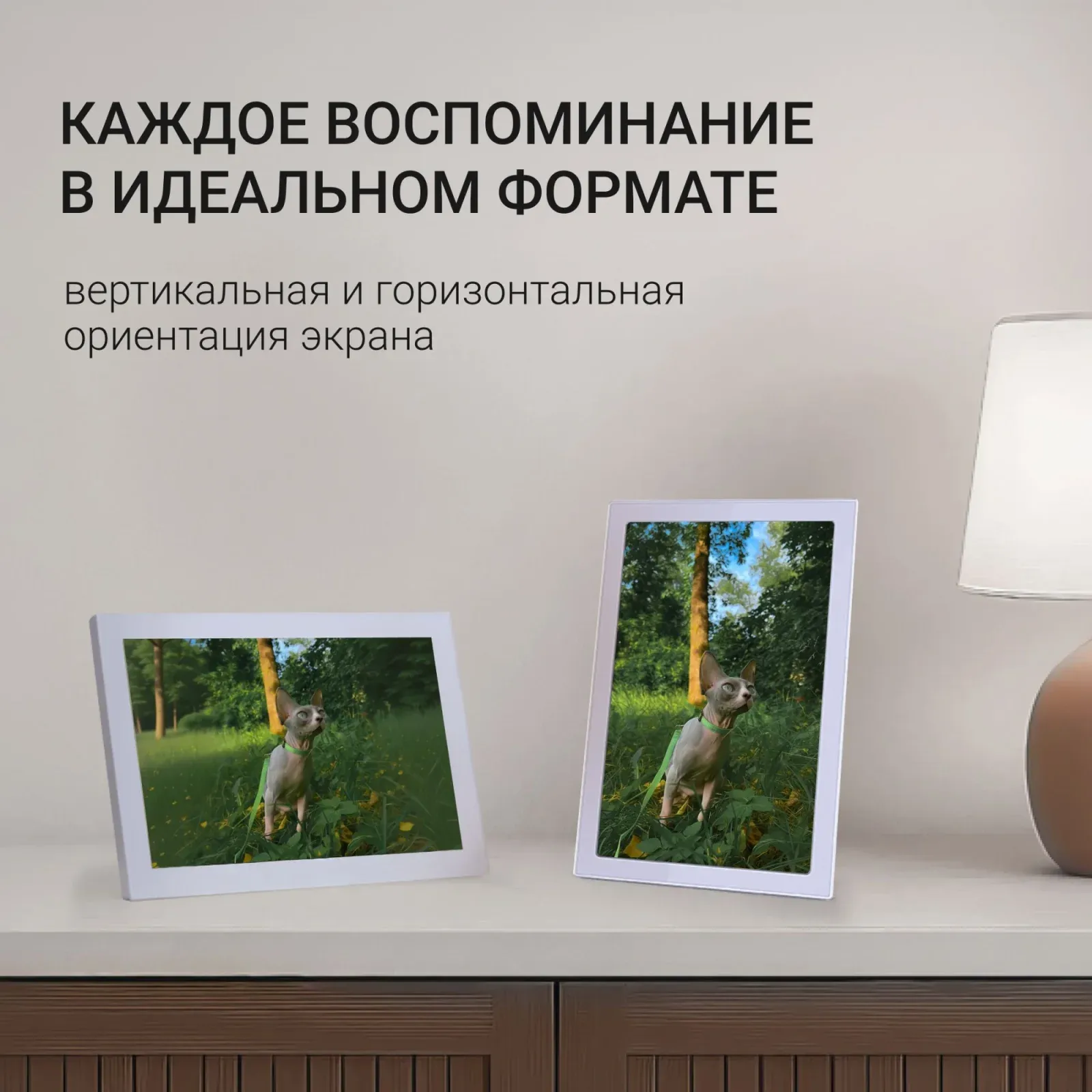 Фоторамка Digma 15.6 PF-1555 1920x1080 белый пластик 32Gb Видео WiFi - фото 5