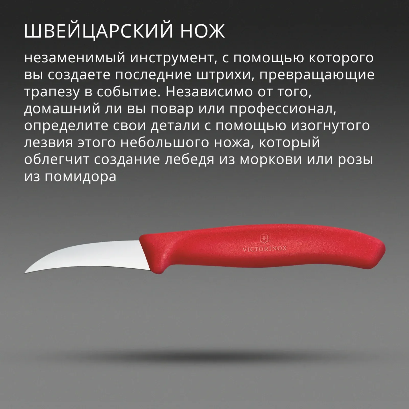 Нож кухонный Victorinox Swiss Classic 6.7501.C1 стальной универсальный для формовки лезв.60мм прямая заточка красный - фото 3