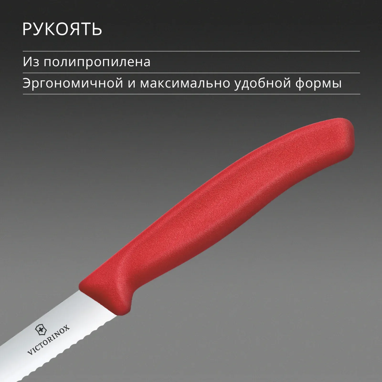 Нож кухонный Victorinox Swiss Classic 6.7731.C1 стальной универсальный для овощей лезв.100мм серрейт. заточка красный - фото 5