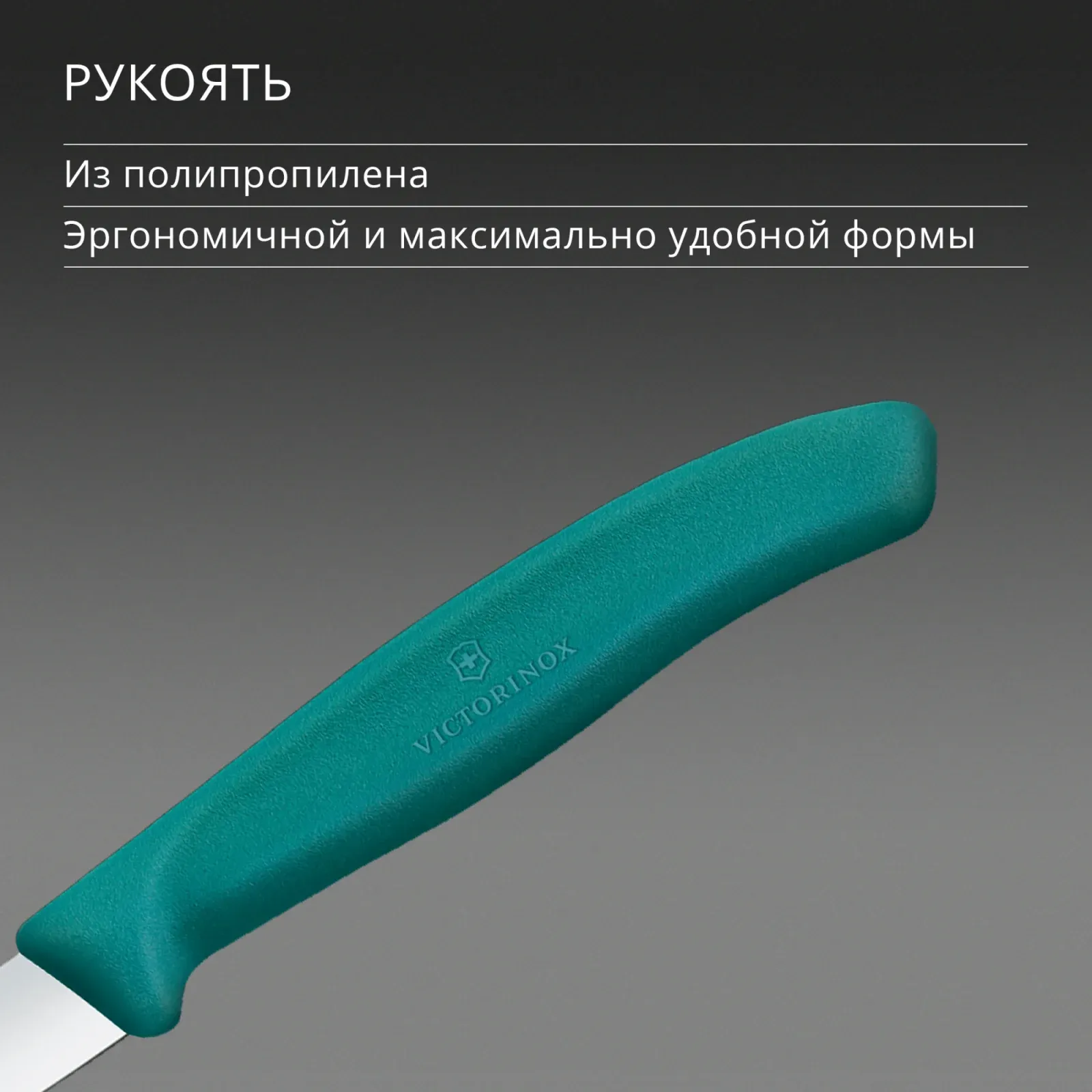 Нож кухонный Victorinox Swiss Classic 6.7604.C1 стальной универсальный для чистки овощей и фруктов лезв.80мм прямая заточка зеленый - фото 5