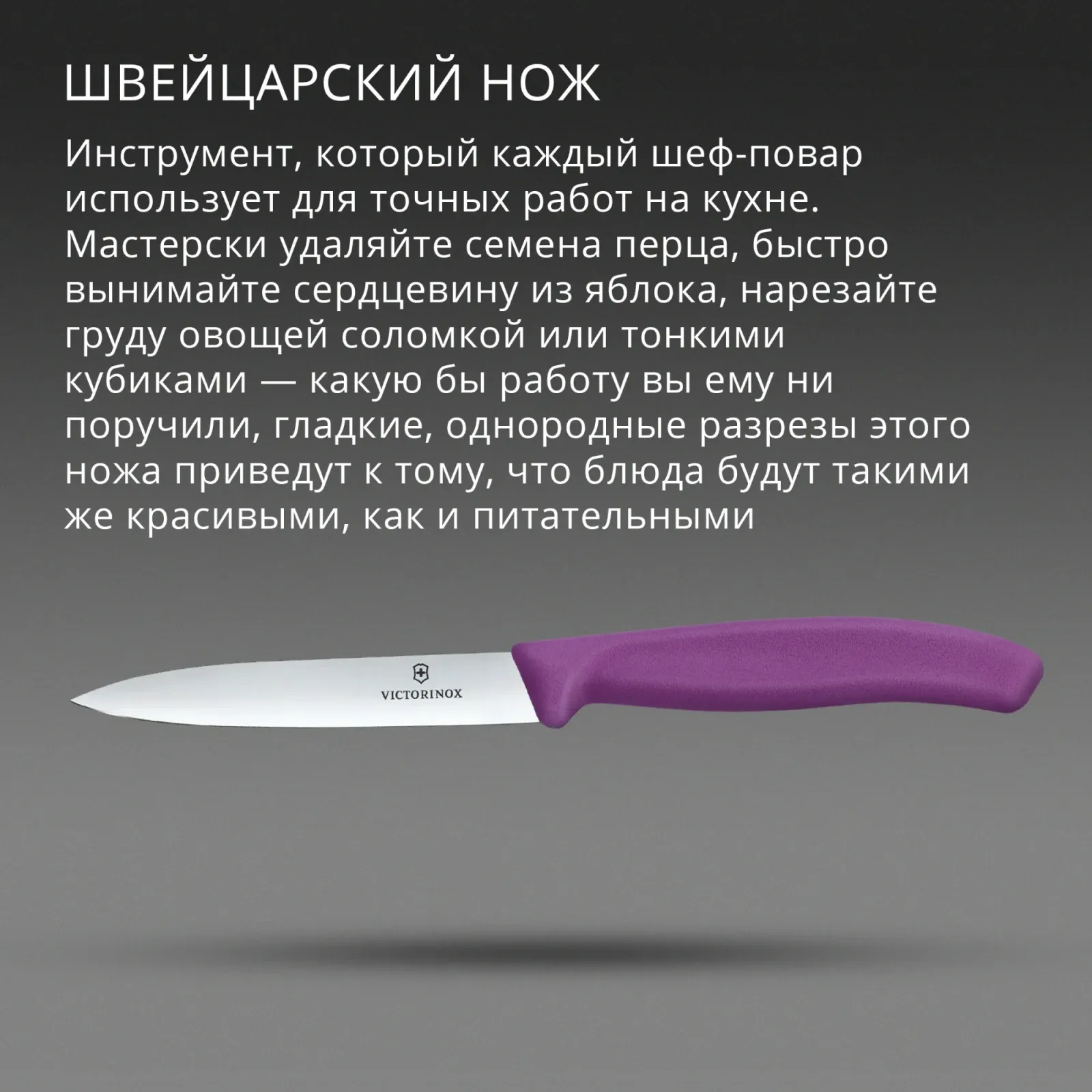 Нож кухонный Victorinox Swiss Classic 6.7705.C1 стальной универсальный для чистки овощей и фруктов лезв.100мм прямая заточка пурпурный - фото 3