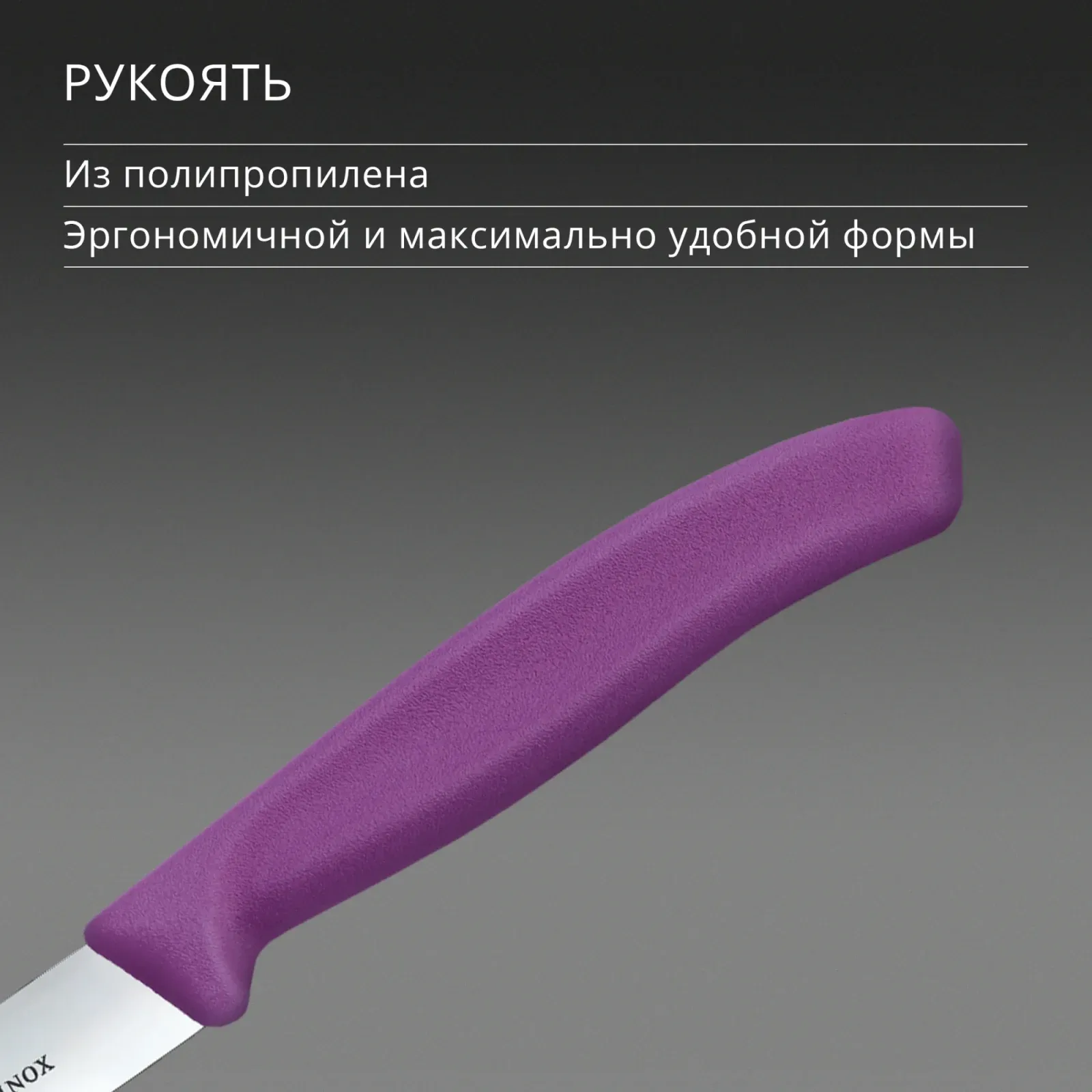 Нож кухонный Victorinox Swiss Classic 6.7705.C1 стальной универсальный для чистки овощей и фруктов лезв.100мм прямая заточка пурпурный - фото 5