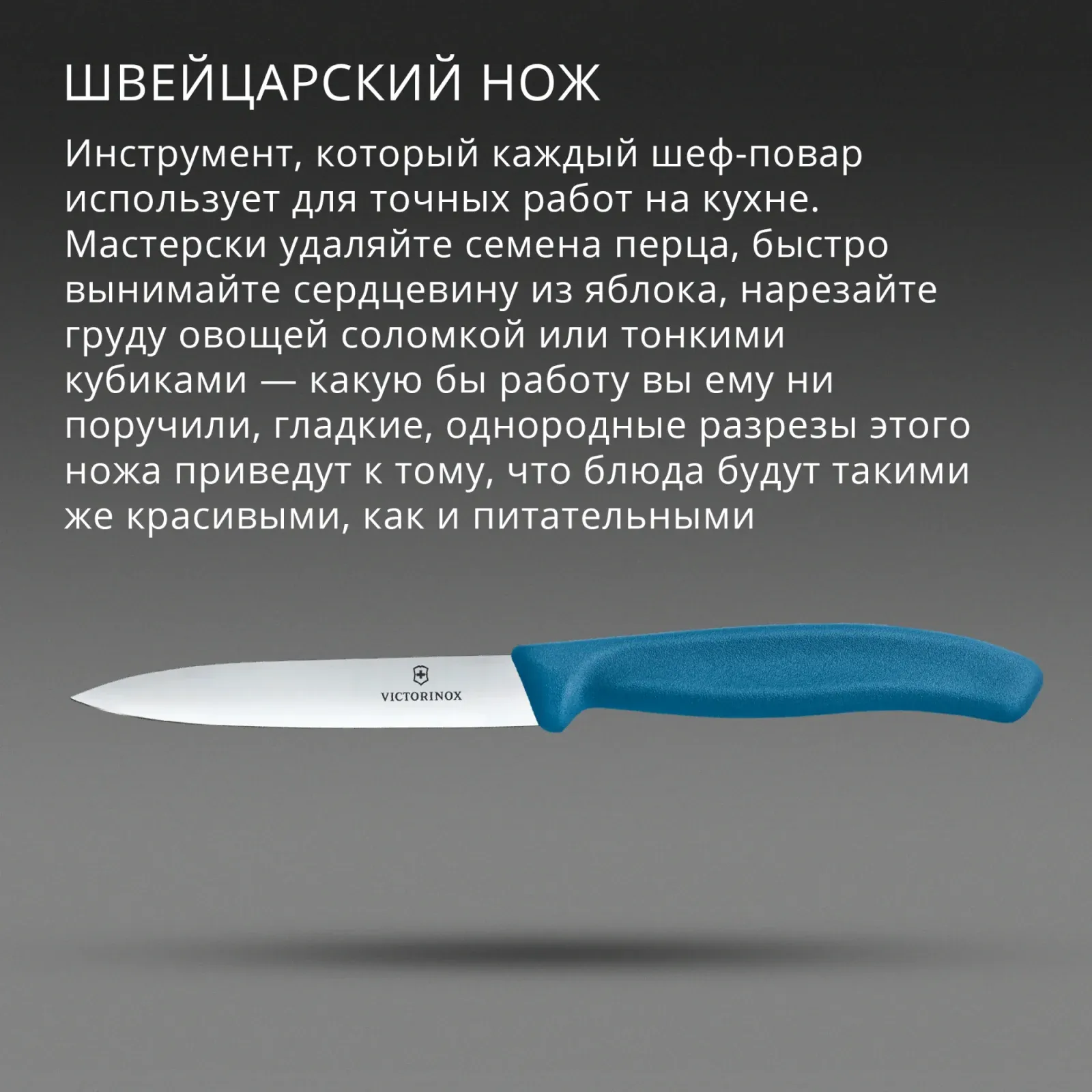 Нож кухонный Victorinox Swiss Classic 6.7702.C1 стальной универсальный для чистки овощей и фруктов лезв.100мм прямая заточка синий - фото 3