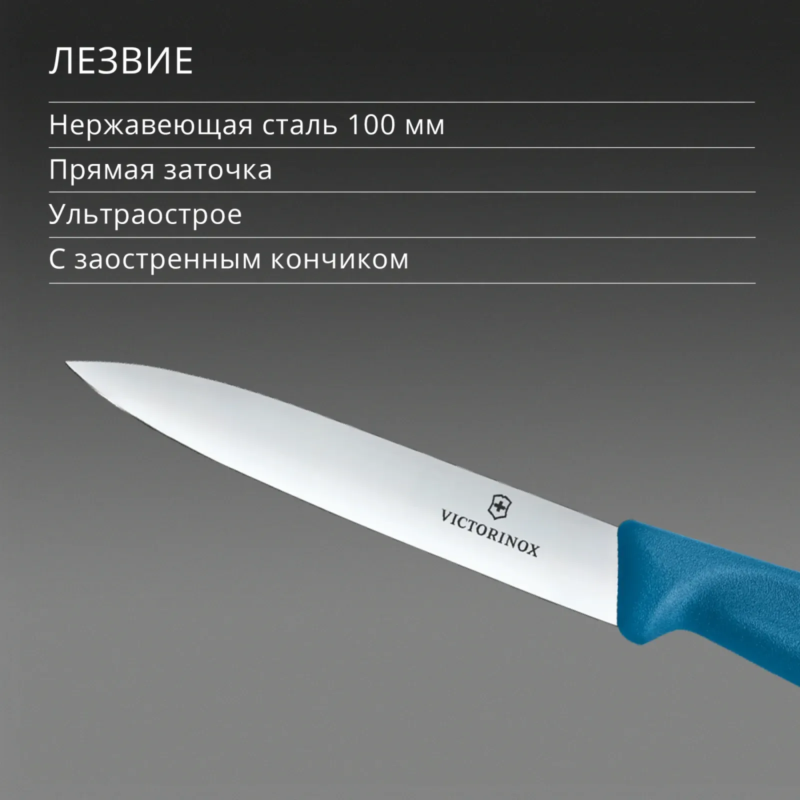 Нож кухонный Victorinox Swiss Classic 6.7702.C1 стальной универсальный для чистки овощей и фруктов лезв.100мм прямая заточка синий - фото 4
