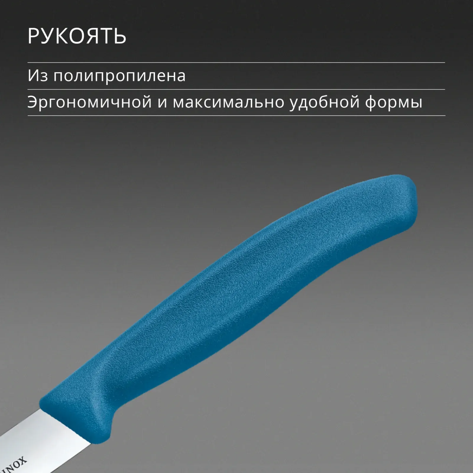 Нож кухонный Victorinox Swiss Classic 6.7702.C1 стальной универсальный для чистки овощей и фруктов лезв.100мм прямая заточка синий - фото 5