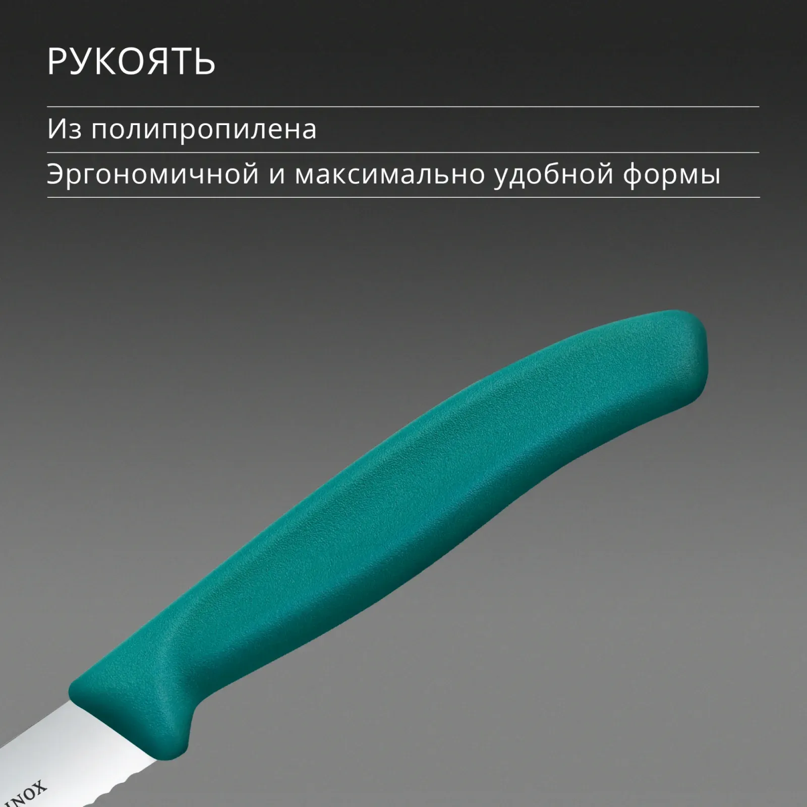 Нож кухонный Victorinox Swiss Classic 6.7734.C1 стальной универсальный для чистки овощей и фруктов лезв.100мм серрейт. заточка зеленый - фото 5
