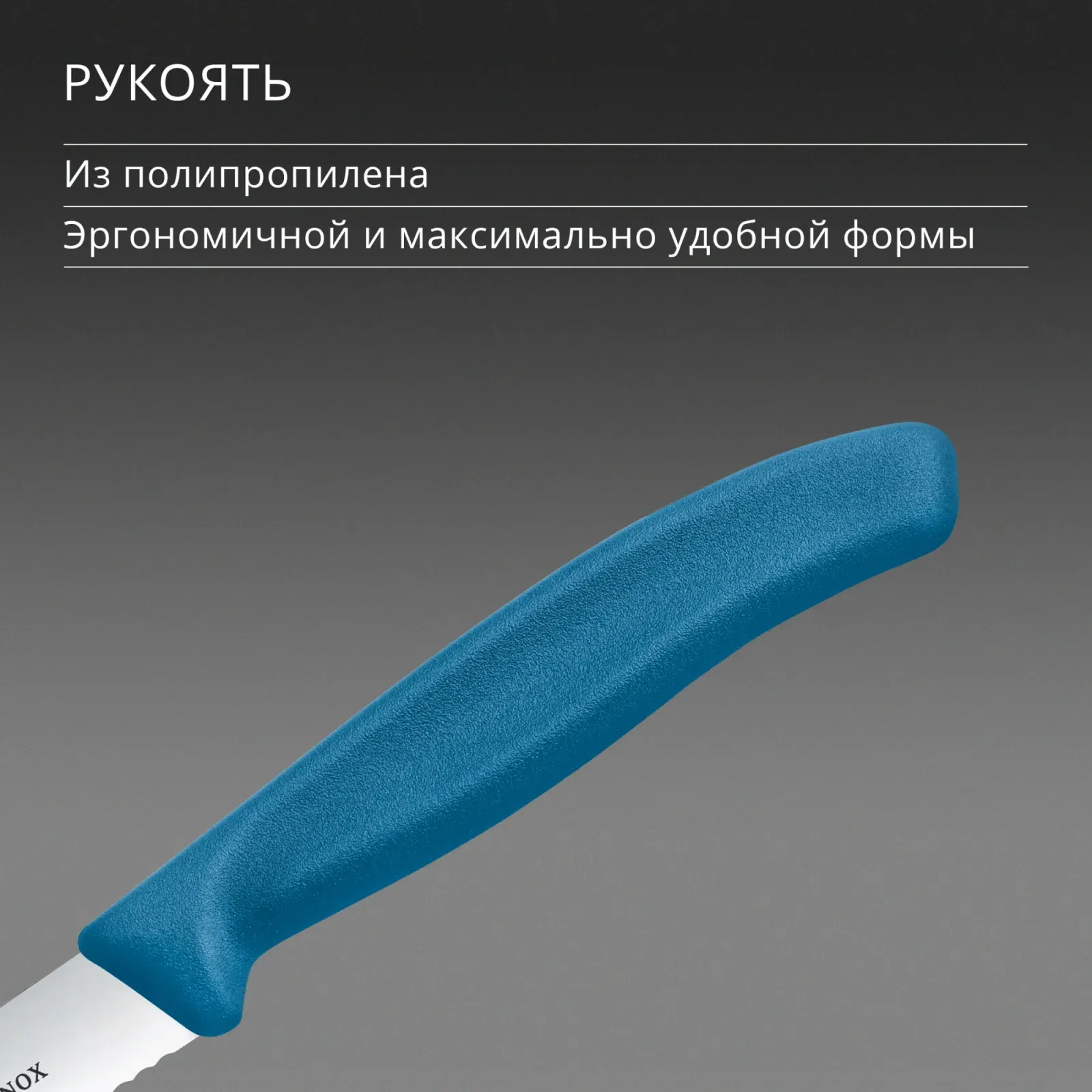 Нож кухонный Victorinox Swiss Classic 6.7732.C1 стальной универсальный для чистки овощей и фруктов лезв.100мм серрейт. заточка синий - фото 5