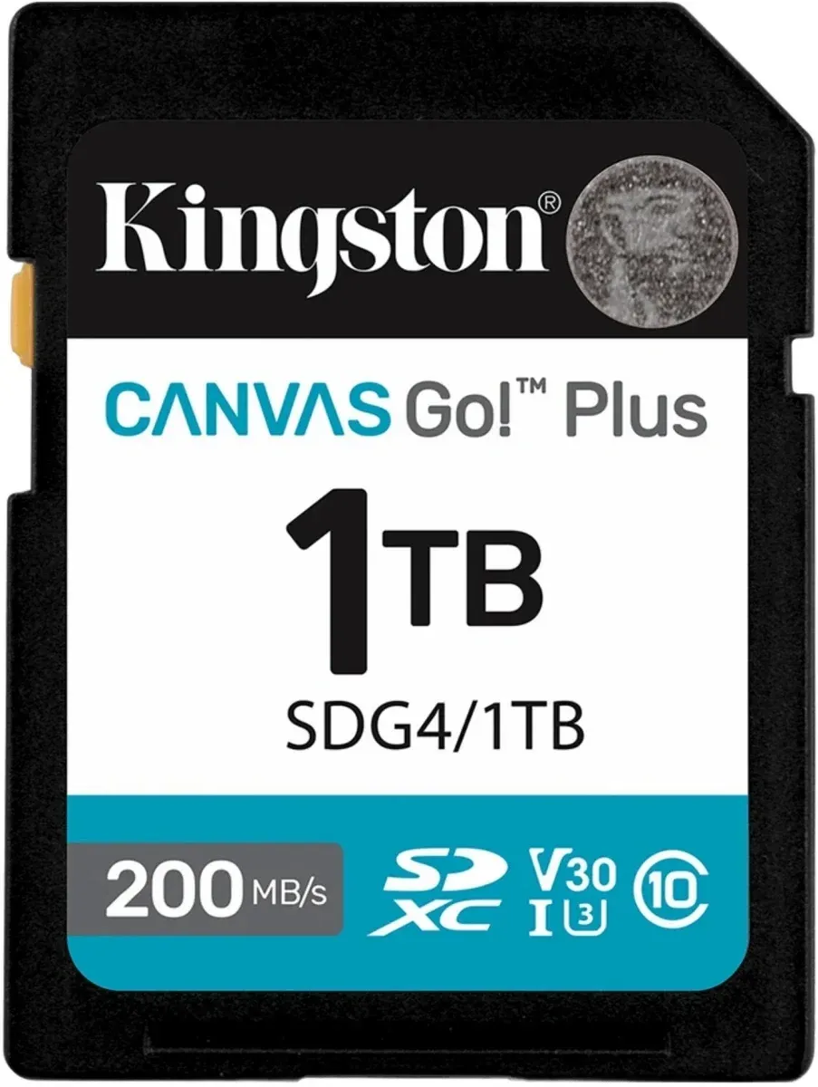Флеш карта SDXC 1TB Kingston SDG4/1TB Canvas Go! Plus V30 w/o adapter - фото 2