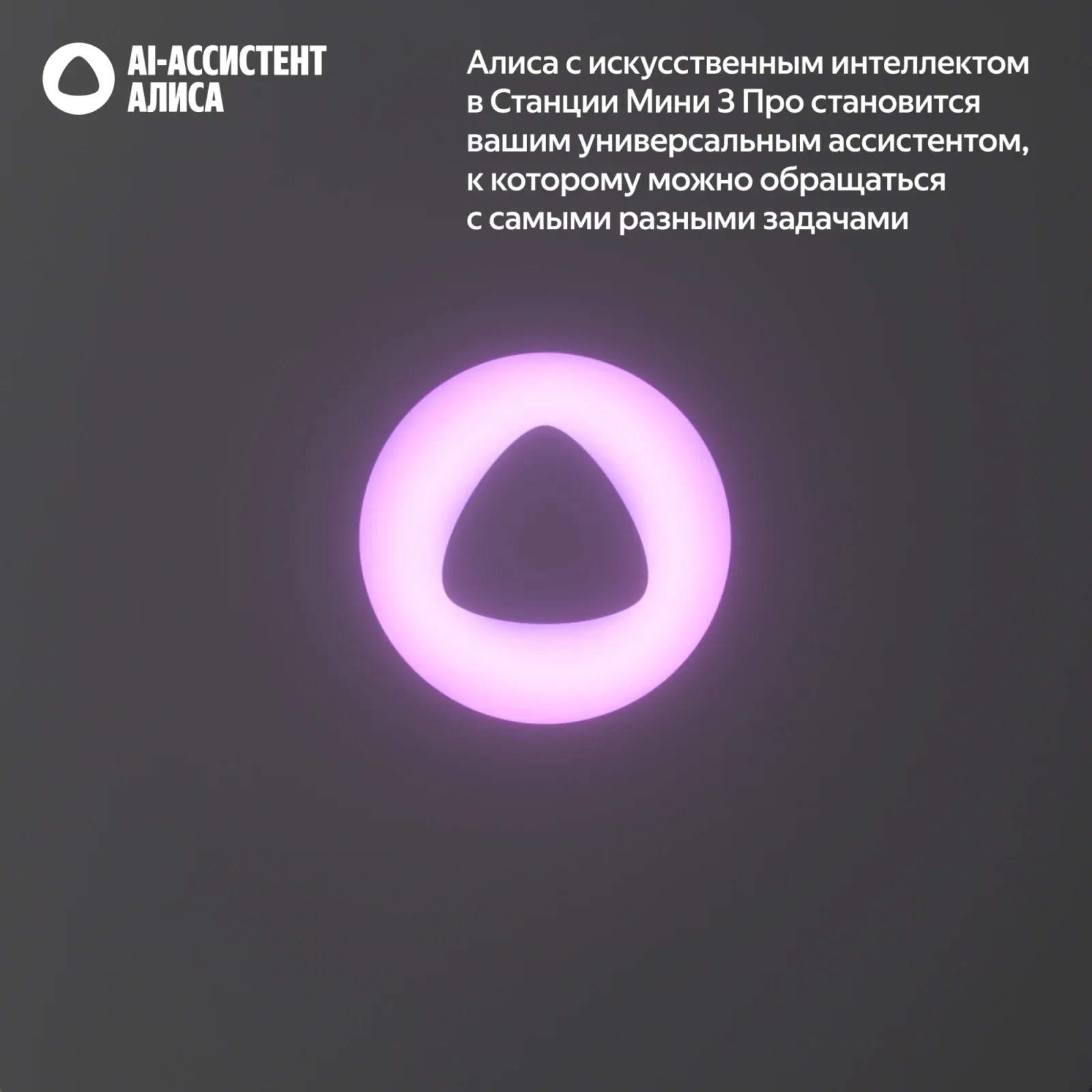 Портативная акустика ЯНДЕКС 3 Про черный - фото 4
