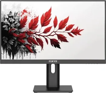 Монитор RDW Computers 27 RDW2701K черный IPS 5ms 16:9 HDMI M/M матовая 1000:1 300cd 178гр/178гр 1920x1080 120Hz VGA DP FHD RUS - фото 4