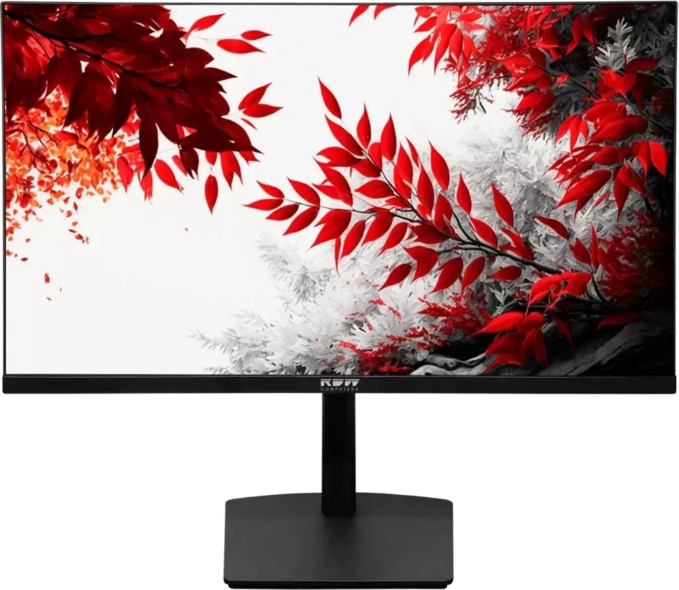 Мониторы ЖК RDW COMPUTERS RDW3207 - фото 1