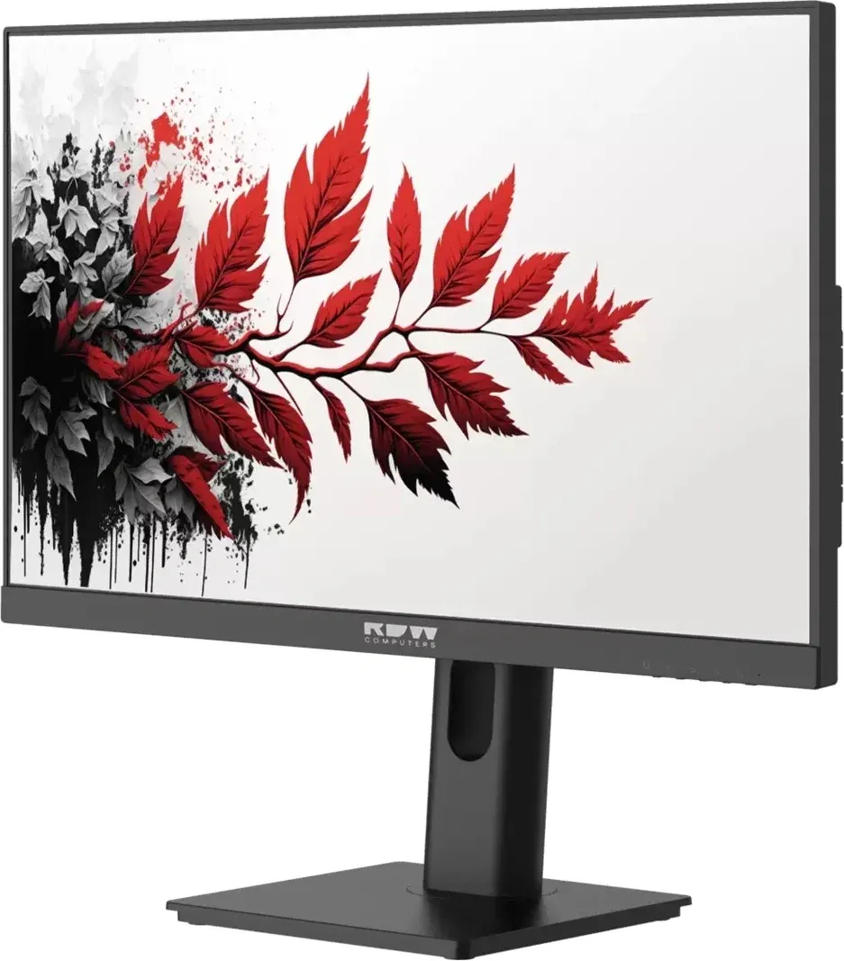 Монитор RDW Computers 27 RDW2701K черный IPS 5ms 16:9 HDMI M/M матовая HAS Piv 1000:1 300cd 178гр/178гр 1920x1080 120Hz VGA DP FHD RUS - фото 2