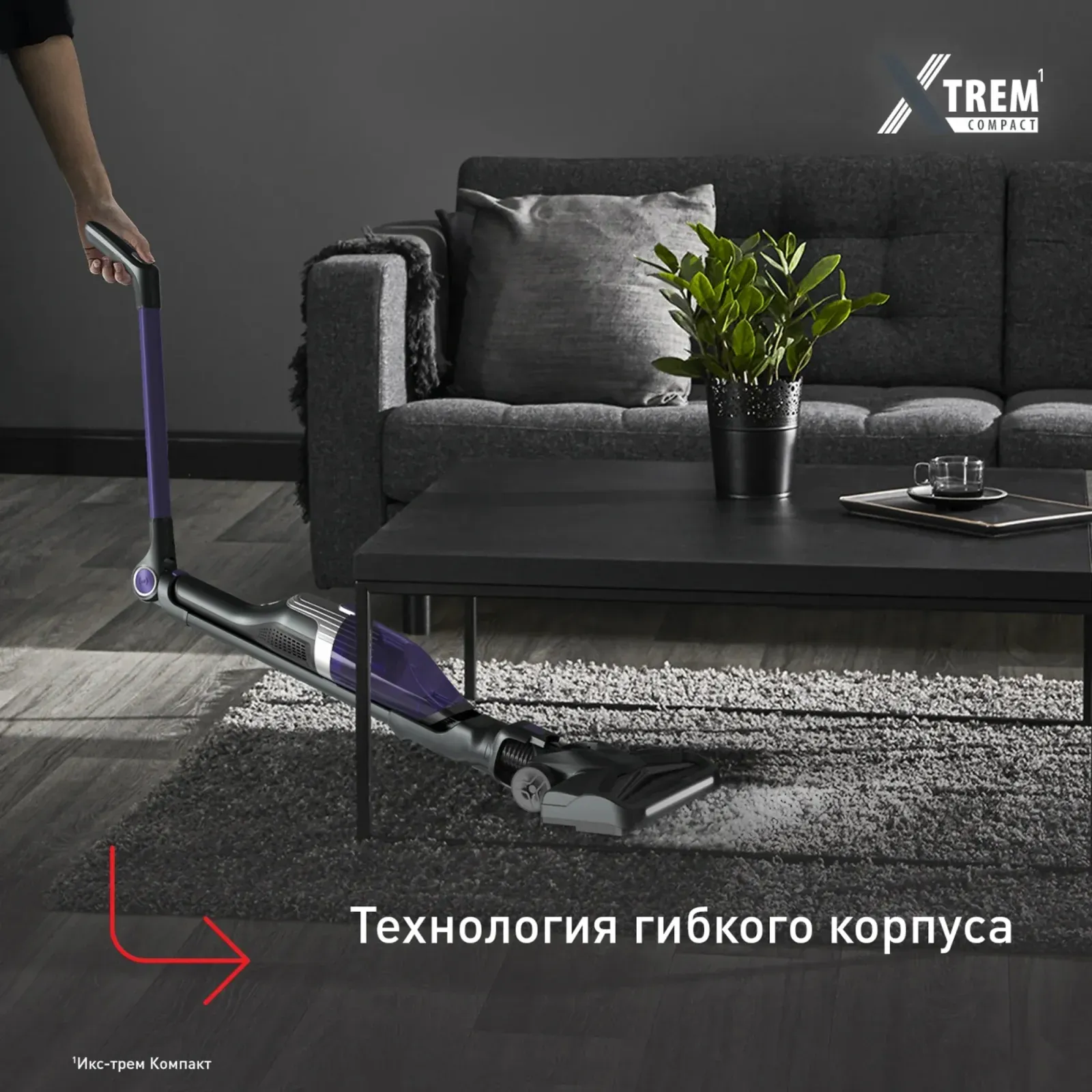 Пылесос Tefal TY1238WO 145Вт серый/фиолетовый - фото 2