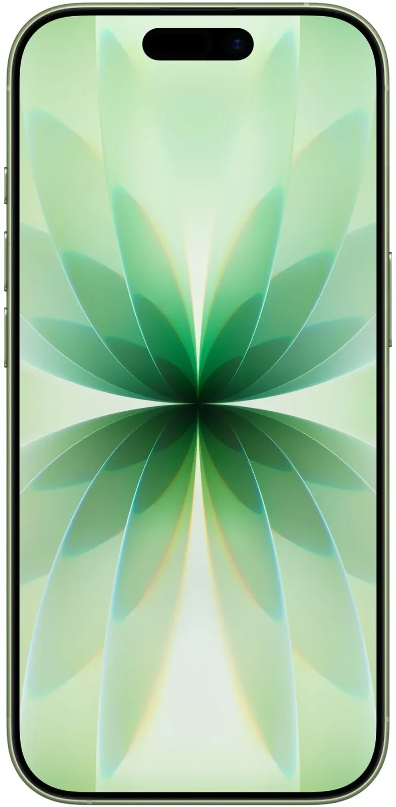 Смартфон Apple A3520 iPhone 17 512Gb зеленый моноблок 3G 4G 1Sim 6.3 1206x2622 iOS 26 48Mpix 802.11 a/b/g/n/ac/ax/be NFC GPS Protect - фото 2