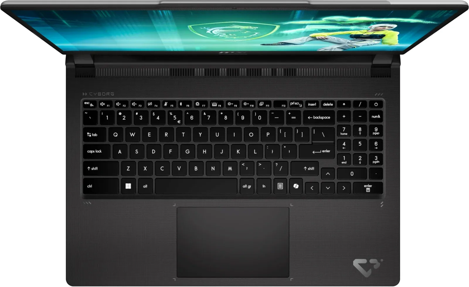 Ноутбуки MSI 15 C2WF-014XRU - фото 4