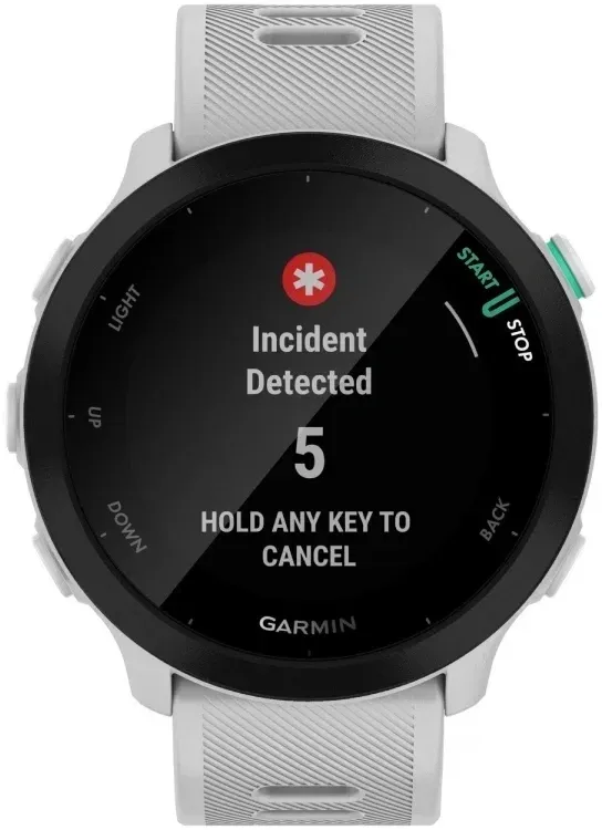 Смарт-часы Garmin Forerunner 55 42мм 1.04 LCD корп.белый рем.белый разм.брасл.:127-220мм 010-02562-15 - фото 2