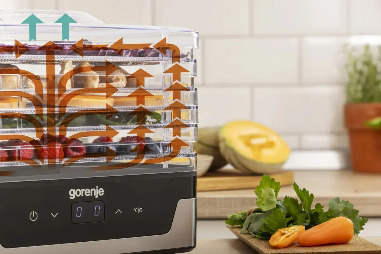 Сушка для фруктов и овощей Gorenje FDK400DE 5под. 240Вт нержавеющая сталь - фото 5