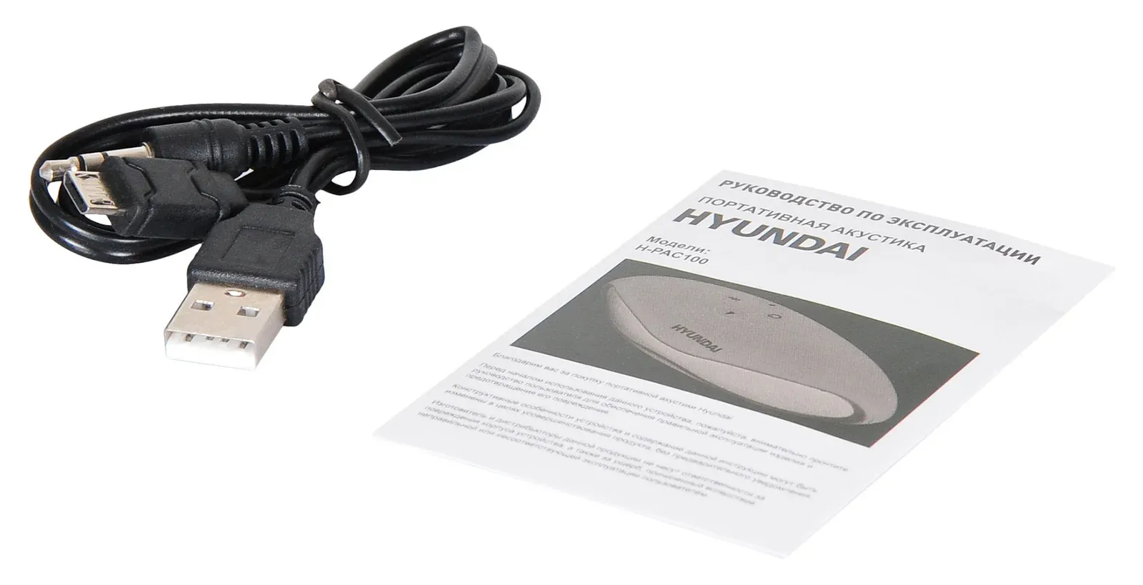 Колонка порт. Hyundai H-PAC100 черный 3W 1.0 BT/3.5Jack/USB - фото 6