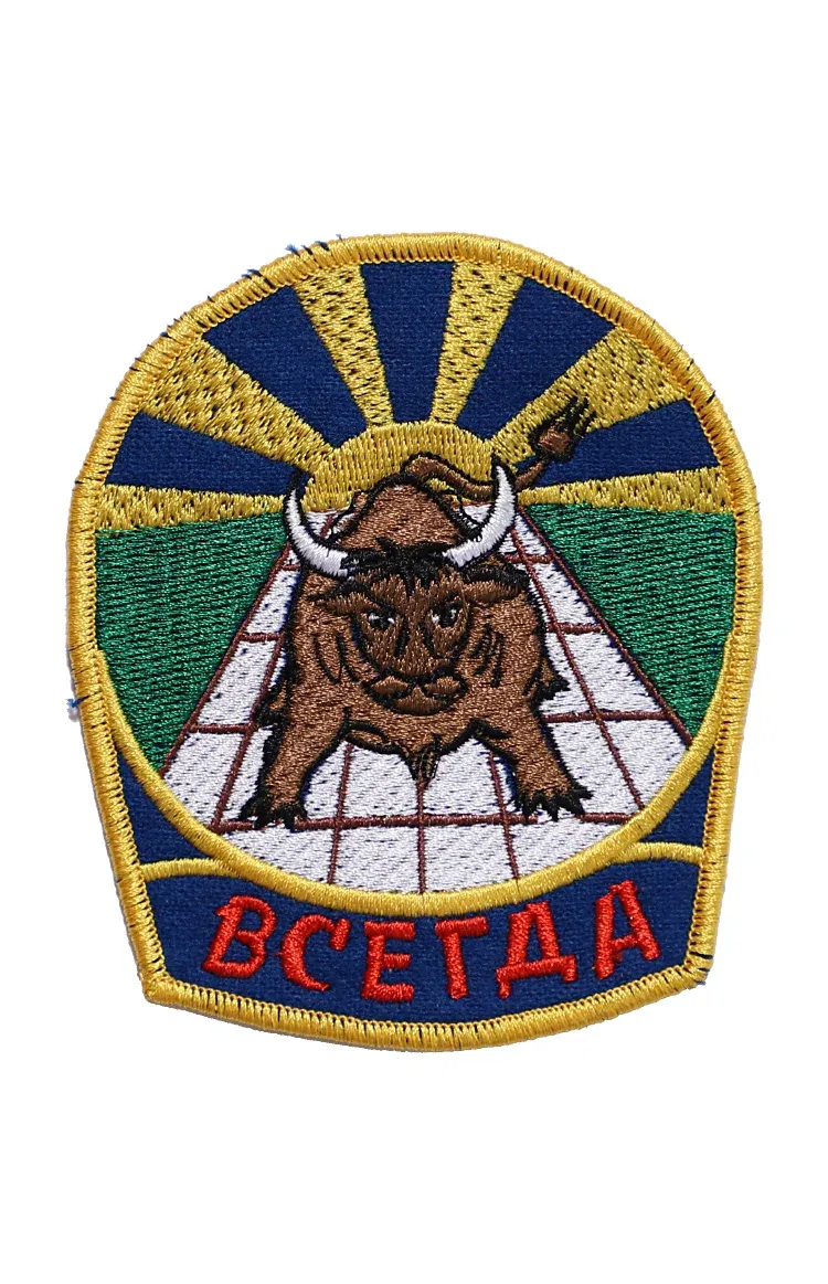 Шеврон эмблема ЛИПЕЦК ШЭ ВСЕГДА 9 х