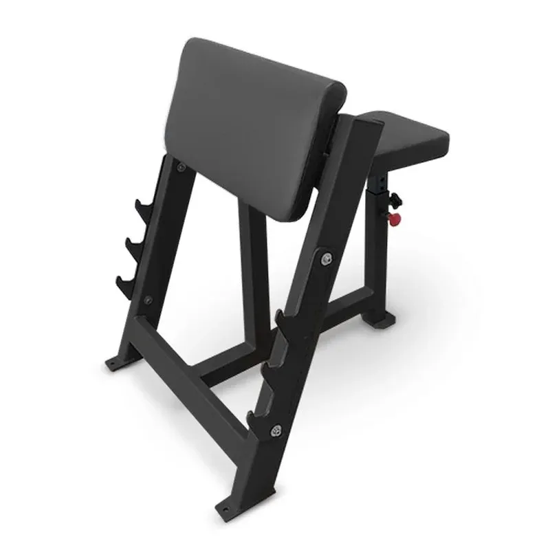 Скамья Скотта BRONZE GYM AL-303