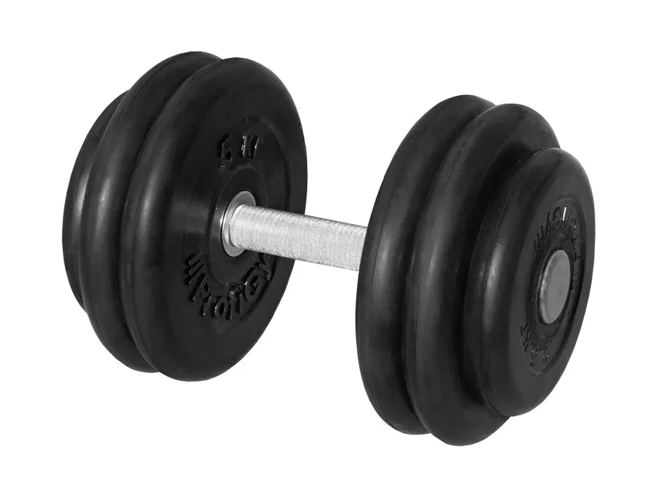 ГНР-26 Гантель PROFIGYM неразборная с хромированной ручкой