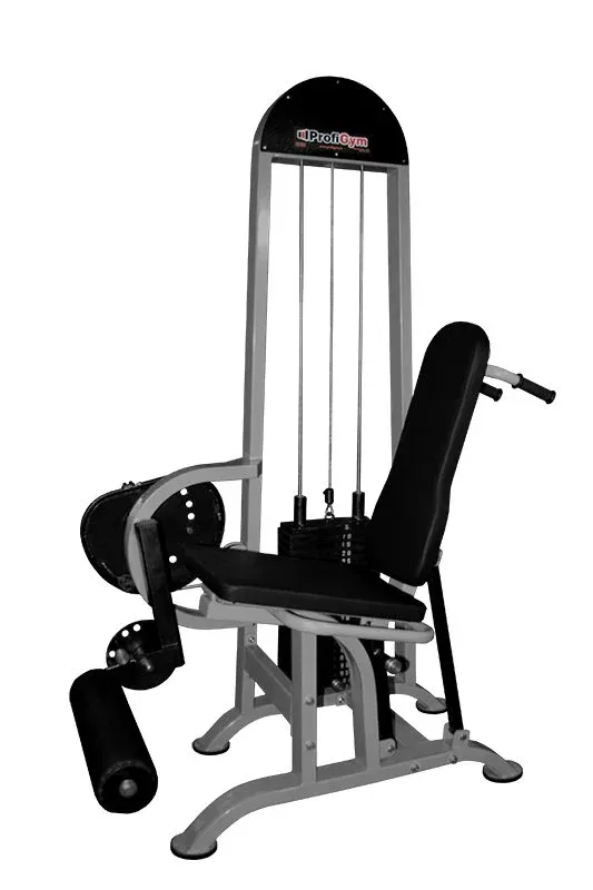 Сгибание ног лежа/разгибание ног сидя ProfiGym ТГ-013