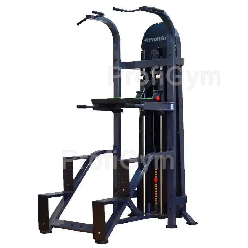 Гравитрон с противовесом Ассистент Profigym