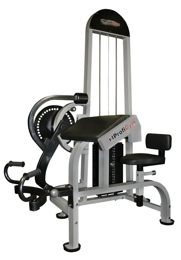 Бицепс/Трицепс- машина ProfiGym ТГ-0080-C