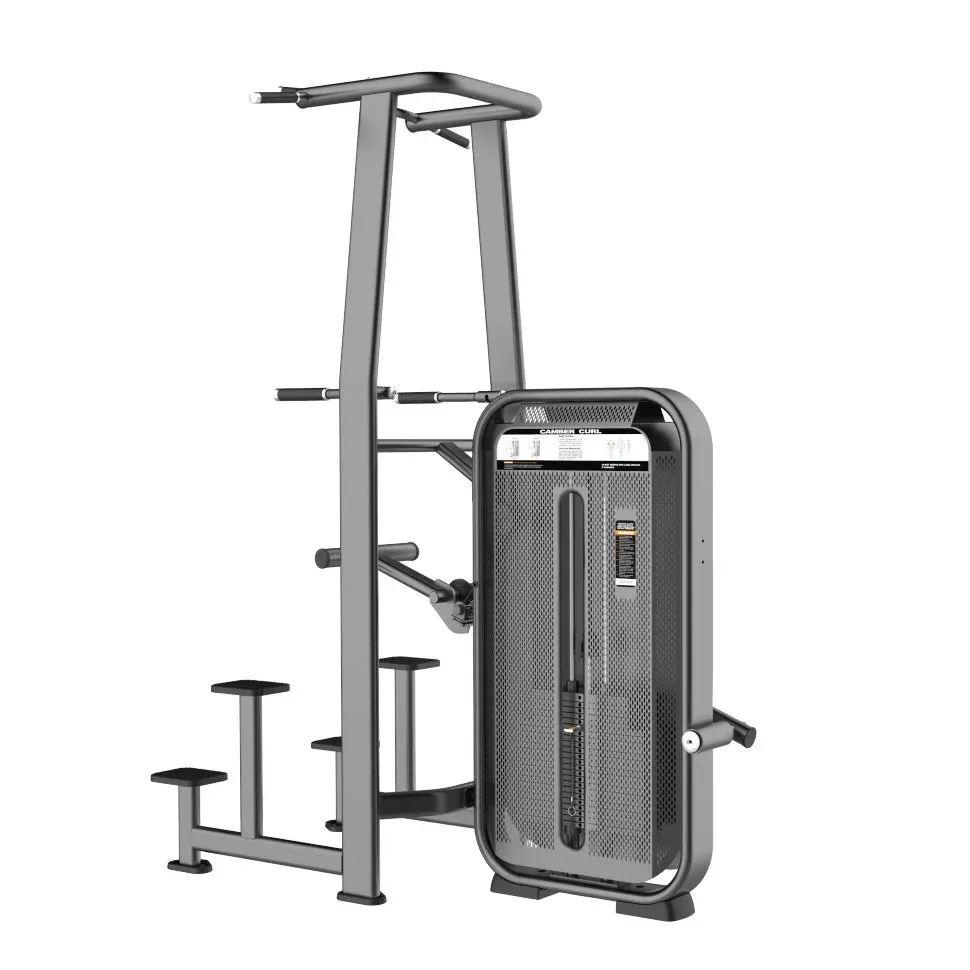 Турник брусья с противовесом Dip/Chin Assist DHZ E-7009