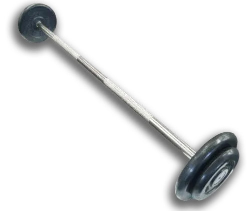 Штанга неразборная с черными дисками Barbell