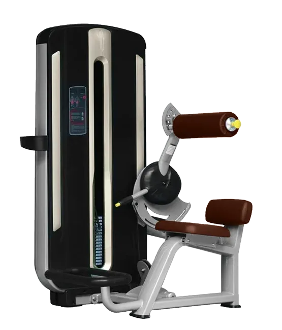 Разгибание спины BRONZE GYM MNM-009