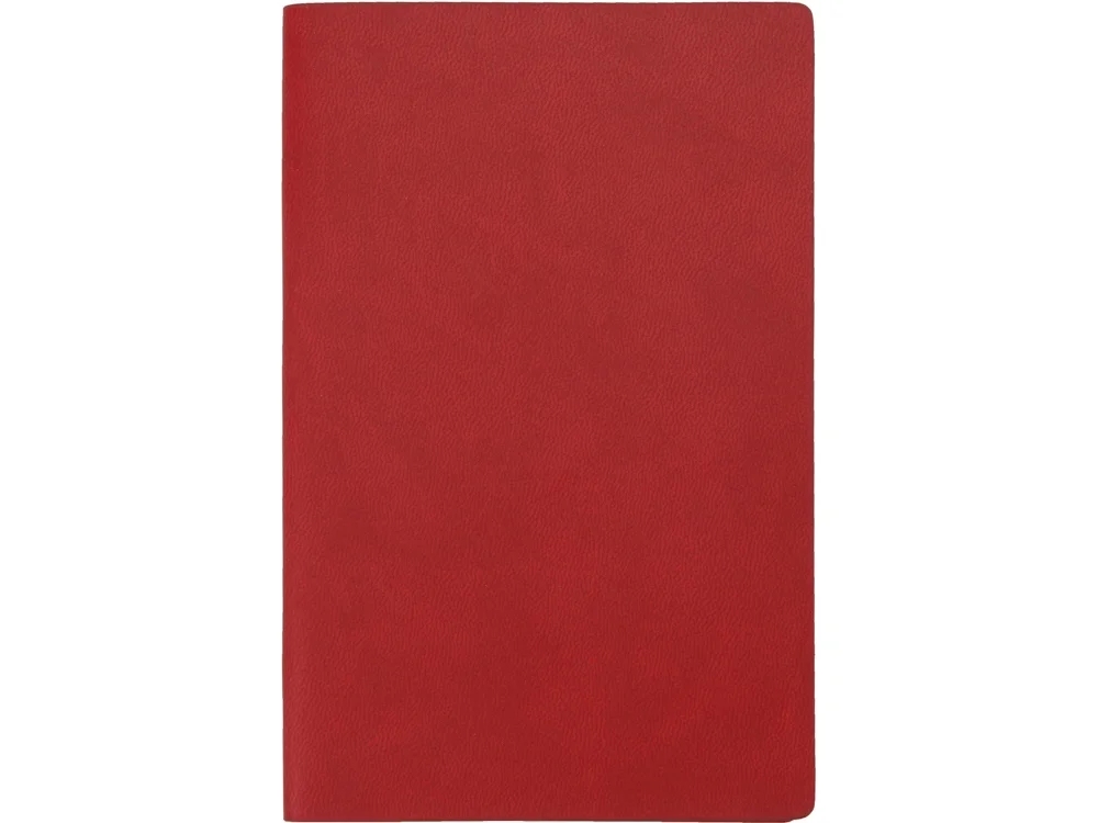 Блокнот А6 «Riner», красный - фото 3