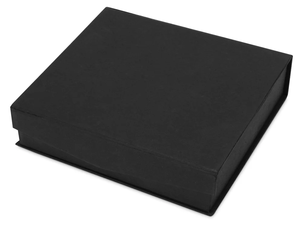 Награда Lex прозрачный/серебристый - фото 4