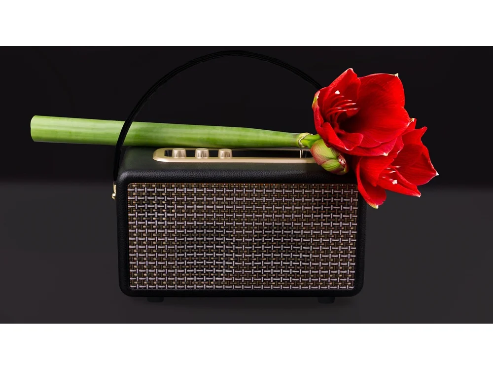 Портативная акустика «Mysound Drive» - фото 8