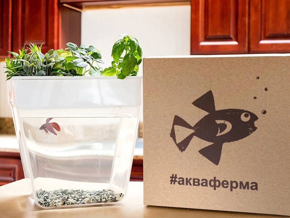 Набор для выращивания растений и ухода за рыбкой Акваферма прозрачный белый - фото 7