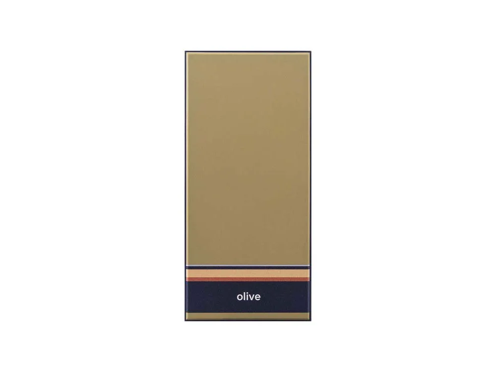 Внешний аккумулятор NEO ARIA 10000 mAh зеленый оливковый/синий - фото 3