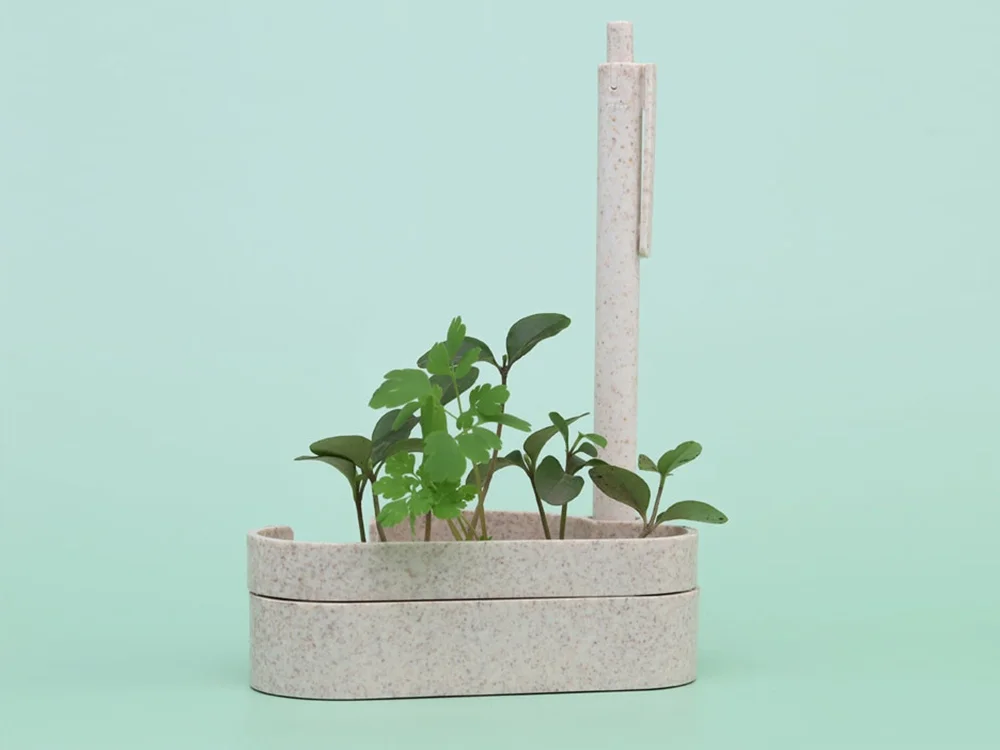 Набор для записей с семенами ромашки Patio бежевый натуральный - фото 3