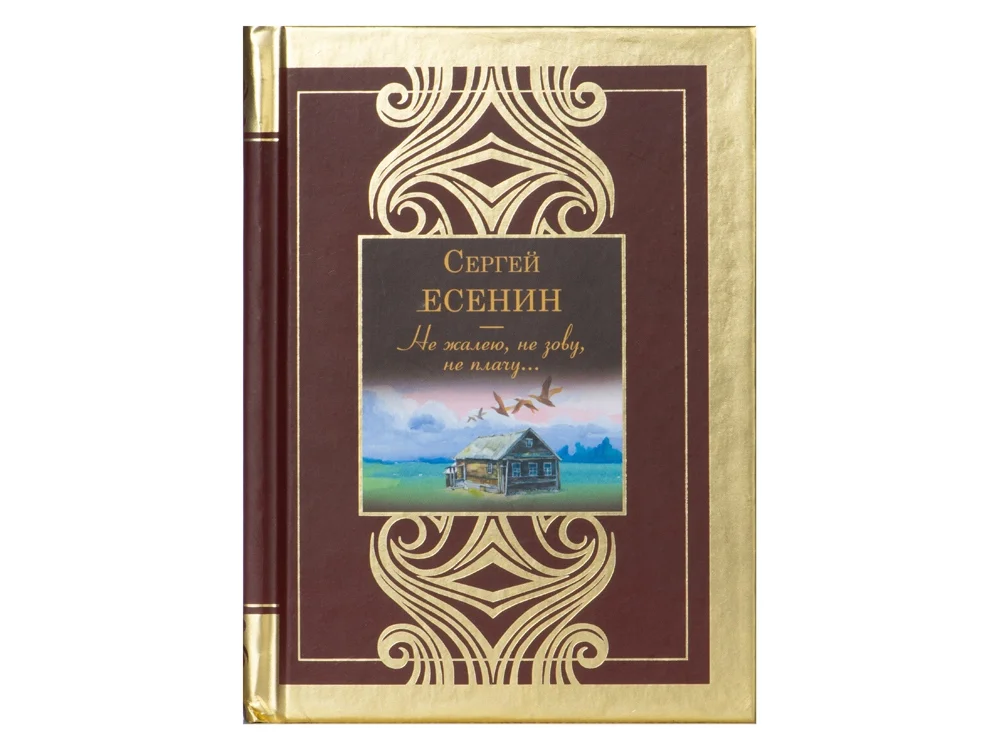 Набор книг Шкаф мудрости шкаф- коричневый/прозрачный книги- черный/золотистый - фото 17