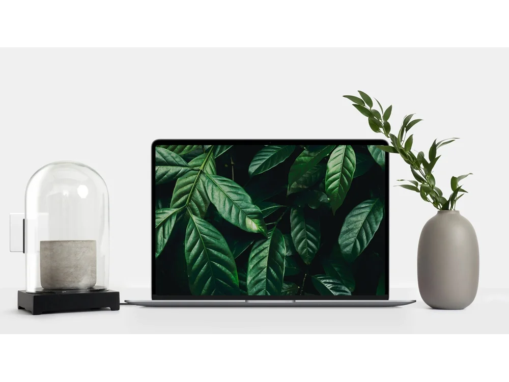 Сетевое зарядное устройство NEO Z Type-C 60 черный - фото 3