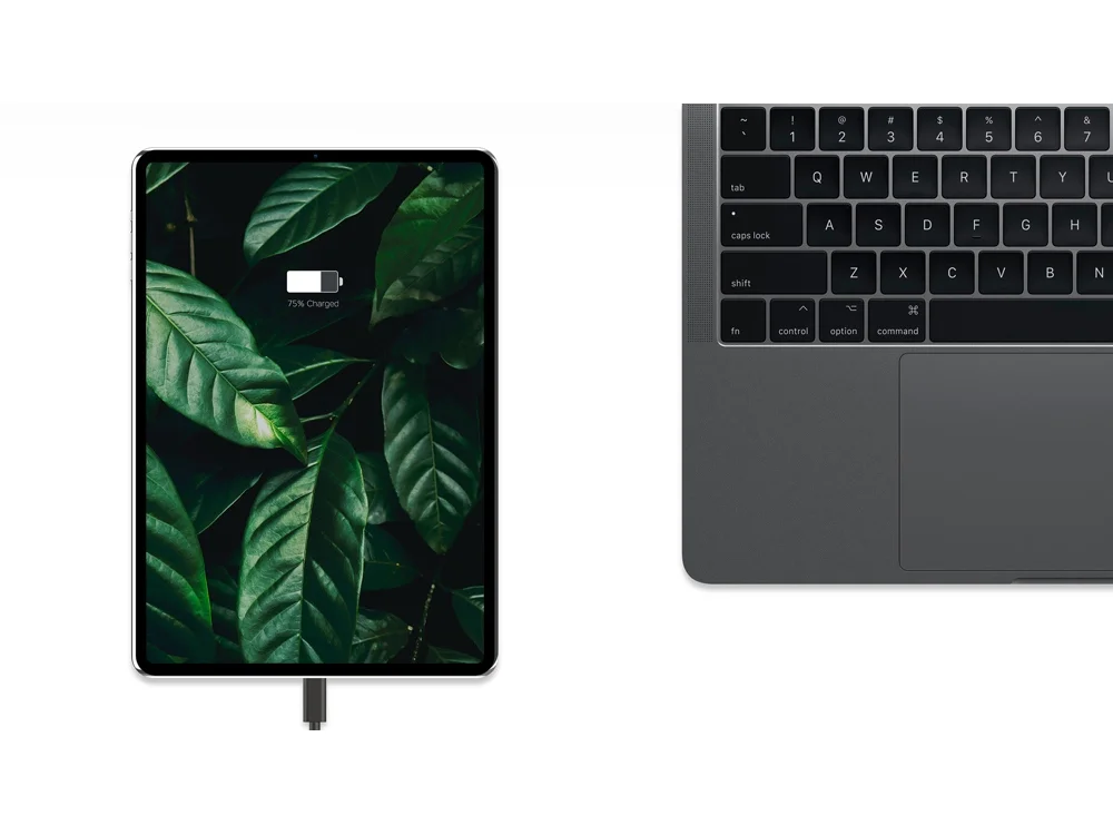 Сетевое зарядное устройство NEO Z Type-C 60 черный - фото 5