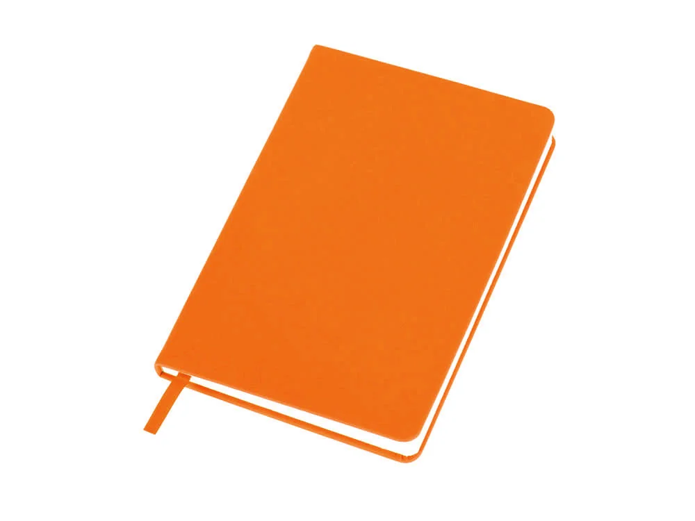 Бизнес-блокнот А5 C2 soft-touch - фото 1