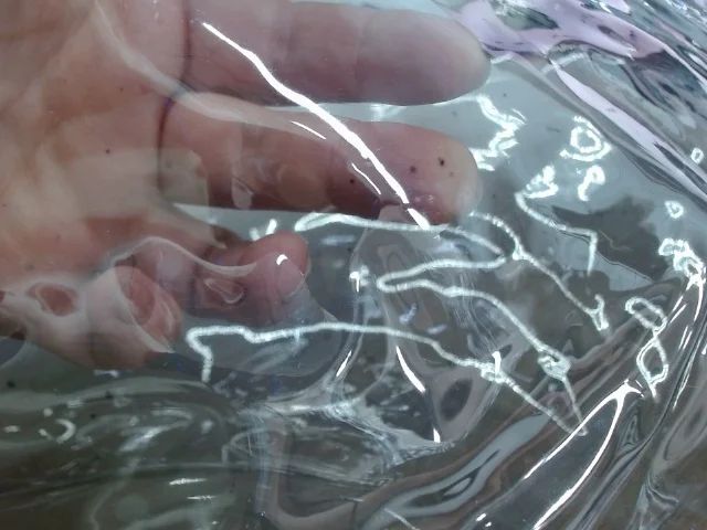 Сумка Frank из прозрачного пластика с регулирующейся лямкой черный - фото 7