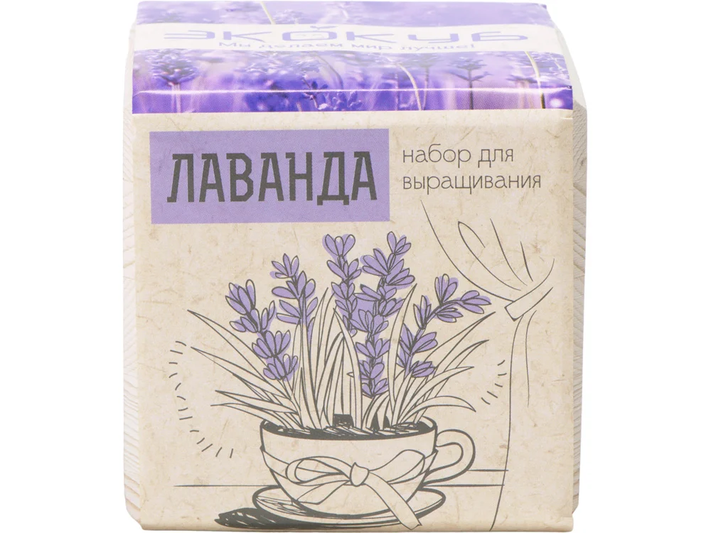 Набор для выращивания Лаванда бежевый - фото 3