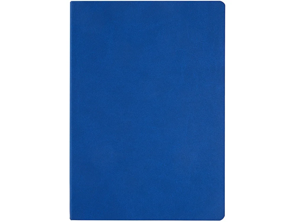 Ежедневник недатированный А5 Megapolis Color Flex синий - фото 4