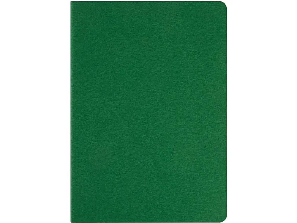 Ежедневник недатированный А5 Megapolis Color Flex зеленый - фото 4