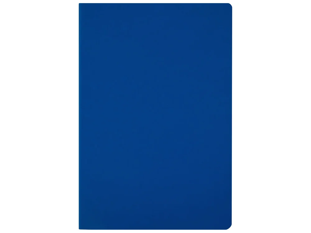 Ежедневник недатированный А5 Megapolis Color Flex New синий - фото 4